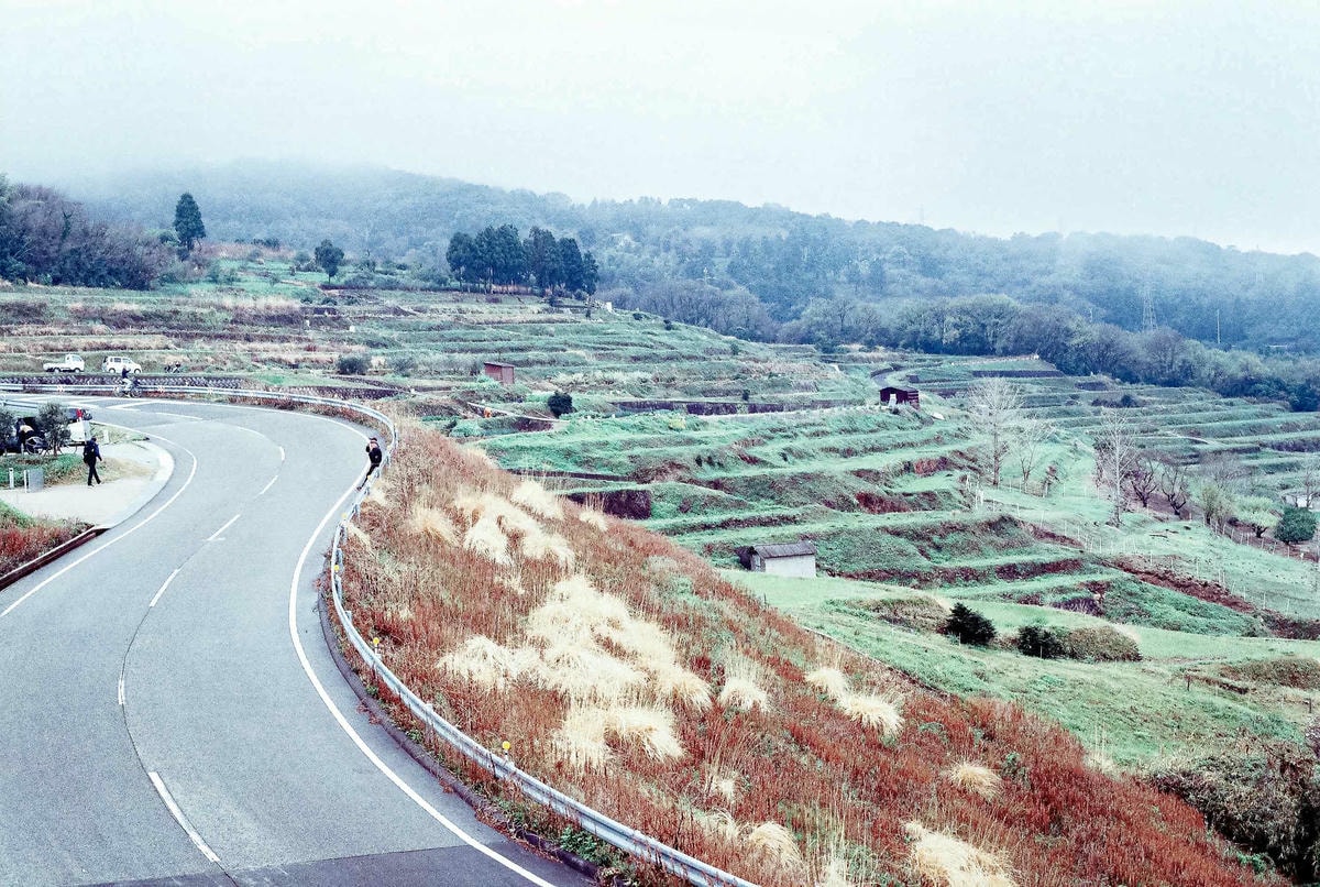 瀨戶內海-豐島美術館