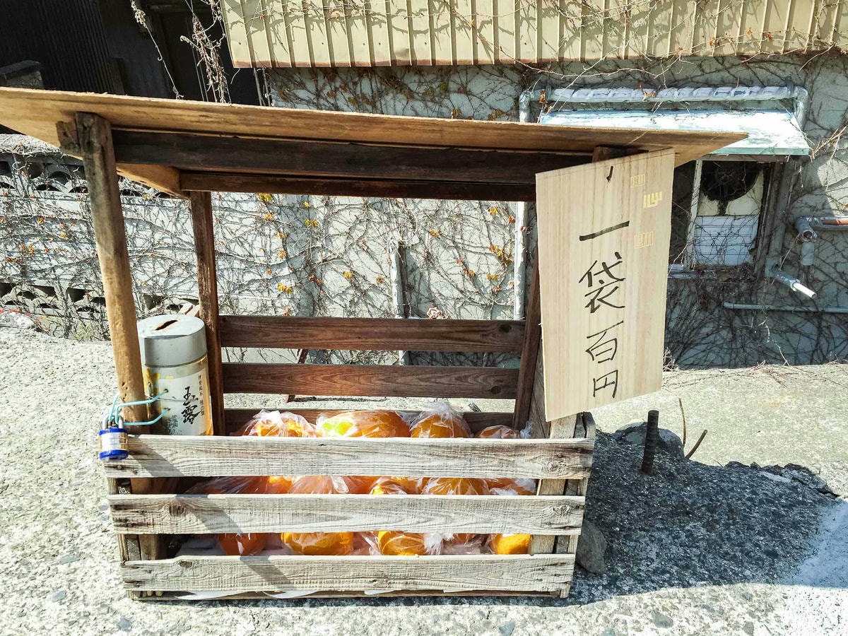 橄欖飛機頭|瀨戶內海藝術祭 —— 小豆島人氣No.1 橄欖暴走族 - 第8張圖 ANGER from the Bottom美井戶神社