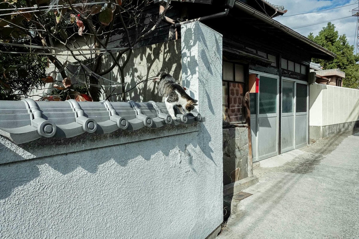 伊吹島