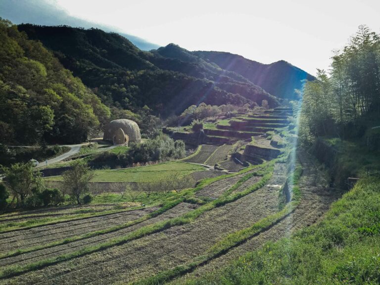 橄欖之夢｜瀨戶內島嶼之旅 —— 用竹子編織出冥想空間的王文志