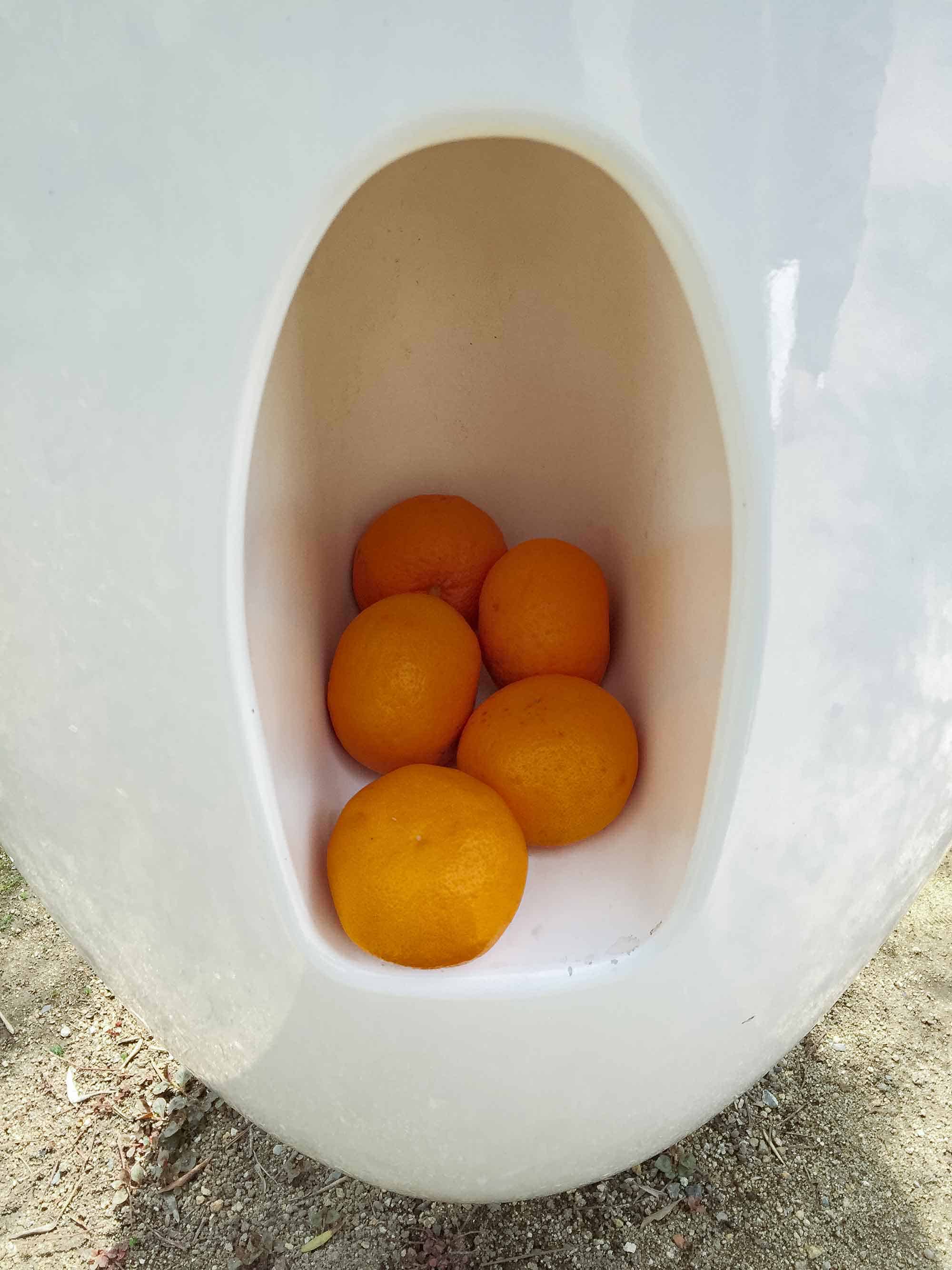 橄欖飛機頭|瀨戶內海藝術祭 —— 小豆島人氣No.1 橄欖暴走族 - 第7張圖