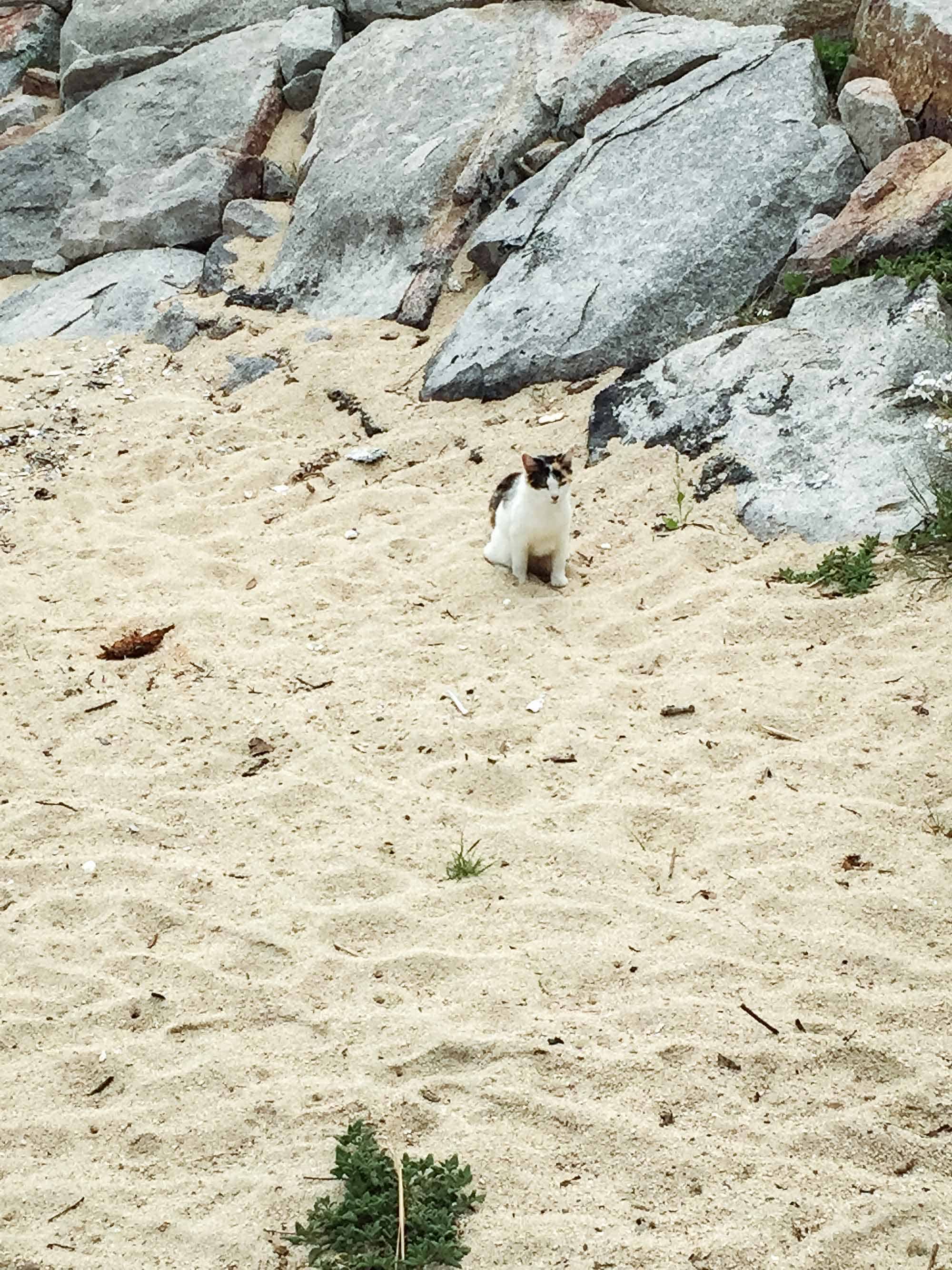 男木島