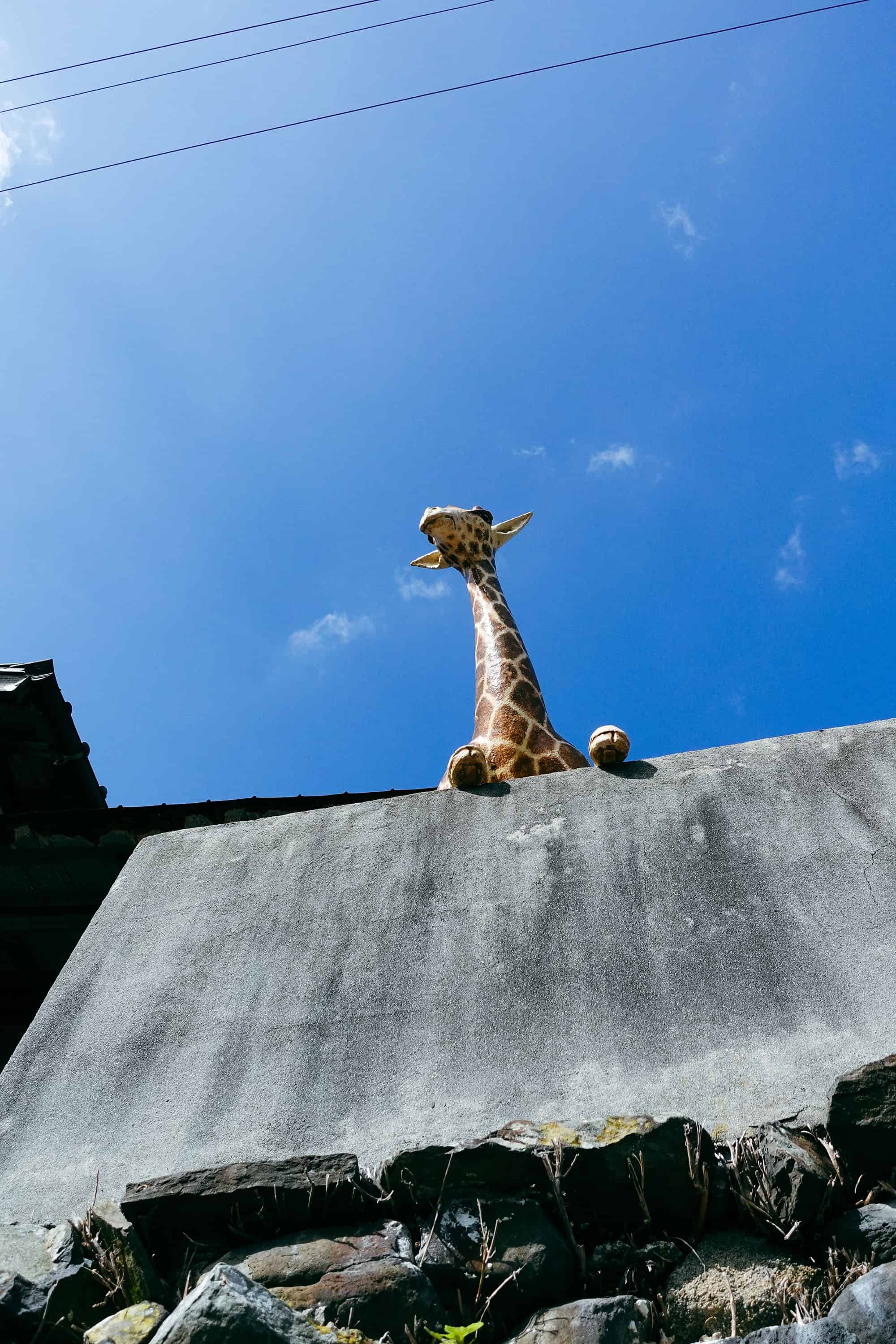 高見島Takamishima｜瀨戶內海藝術祭 —— 穿梭階梯迷宮半日旅