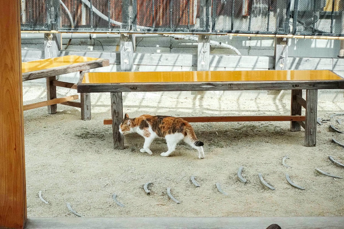 魚干庵